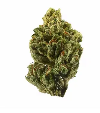 OG Kush > Bulk Seeds | Feminized Marijuana   |  Indica