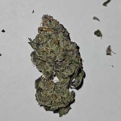 Diablo\'s Delight XL Auto > Sweet Seeds | Semillas de marihuana autoflorecientes  |  Híbrido