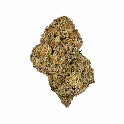 Smashberry Fumez Auto > Anesia Seeds | Graines Autofloraison  |  Indica