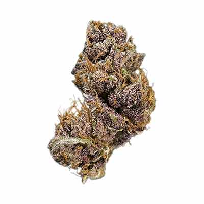 Auto Purple Domina > Anesia Seeds | Graines Autofloraison  |  Indica