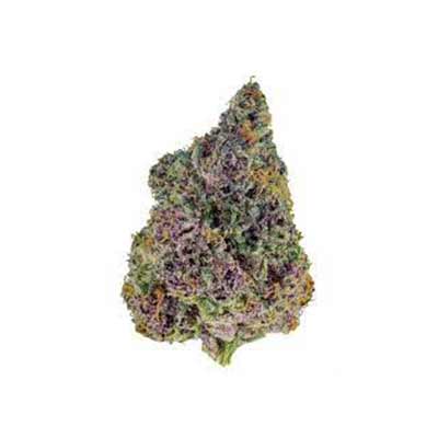 Dankberry > Anesia Seeds | Feminized Marijuana   |  Indica