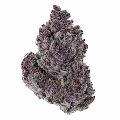 Granddaddy Purple > Royal Queen Seeds | Semillas feminizadas  |  Índica