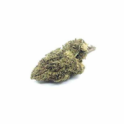 Jamaican Dream CBD > Eva Female Seeds | Semillas feminizadas  |  Híbrido