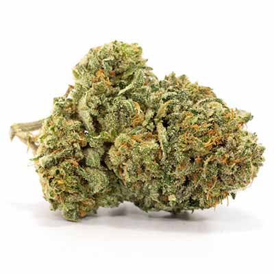 Jamaican Og > The Cali Connection | Feminisierte Hanfsamen  |  Sativa