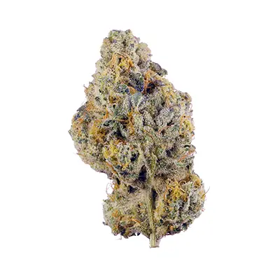 Jupiter OG Kush > The Cali Connection | Feminized Marijuana   |  Hybrid