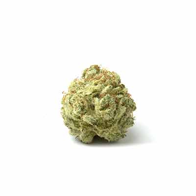 Kalidonia > ACE Seeds | Semillas feminizadas  |  Sativa