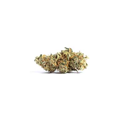 King Cone > Elev8 Seeds | Feminized Marijuana   |  Hybrid