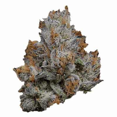 Lemon Cherry Gelato > Barney\'s Farm | Feminized Marijuana   |  Hybrid