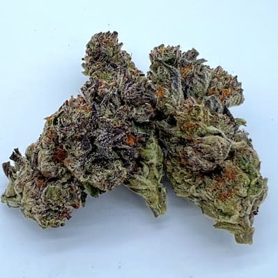 Lemon Cherry Cookies Auto > Fast Buds Company | Graines Autofloraison  |  Indica