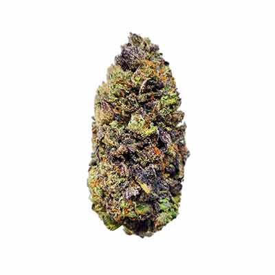 Monster Maker > Sweet Seeds | Feminisierte Hanfsamen  |  Indica