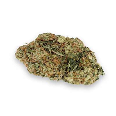 Nicole x OG > Vision Seeds | Feminized Marijuana   |  Indica