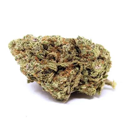 Pink Gorilla > Royal Queen Seeds | Feminized Marijuana   |  Hybrid