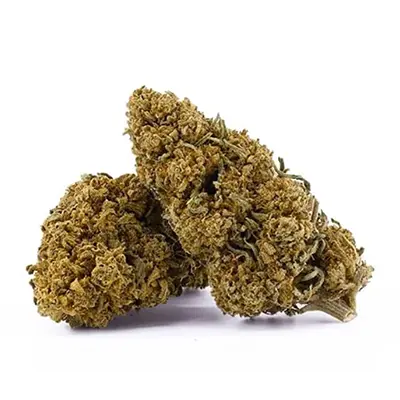 Purple Boost Highness > Anesia Seeds | Semillas feminizadas  |  Sativa