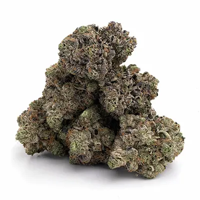 Rainbow Flakes > Positronics | Feminized Marijuana   |  Indica