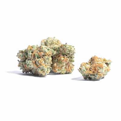 Smashberry Fumez > Anesia Seeds | Feminisierte Hanfsamen  |  Indica