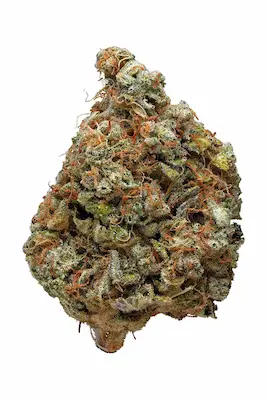 Sour Apple > Anesia Seeds | Feminisierte Hanfsamen  |  Indica