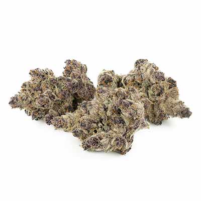 Sumptuouz > Rare Darkness | Regular Marijuana   |  Indica