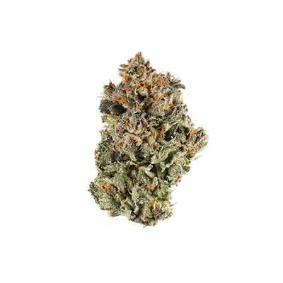 Sun of a Peach > Anesia Seeds | Feminized Marijuana   |  Indica