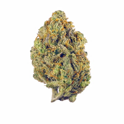 Supreme Lemon > Vision Seeds | Semillas feminizadas  |  Sativa