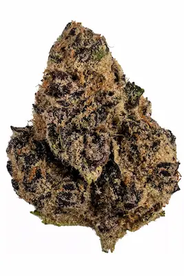 Tropicana Cookies Purple > Royal Queen Seeds | Feminized Marijuana   |  Hybrid