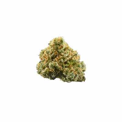 UMME > Anesia Seeds | Feminized Marijuana   |  Indica