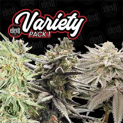 Variety Pack #1 > Elev8 Seeds | Semillas feminizadas  |  Híbrido