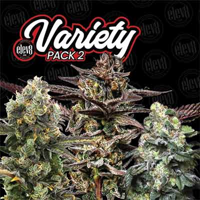 Variety Pack #2 > Elev8 Seeds | Semillas feminizadas  |  Híbrido