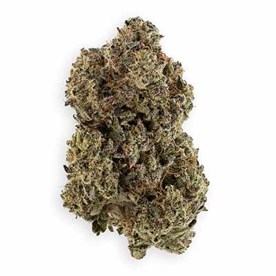 Afghanica > Anesia Seeds | Feminized Marijuana   |  Indica