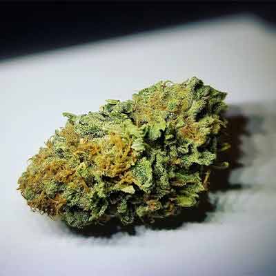 Alien Technology > Linda Seeds | Feminized Marijuana   |  Indica