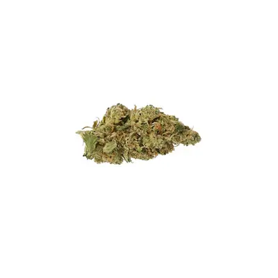 Amaretto Tarmac Auto > Seed Stockers | Semillas autoflorecientes  |  Sativa