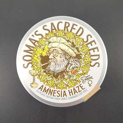 Amnesia Haze > Soma Seeds | Feminisierte Hanfsamen  |  Sativa