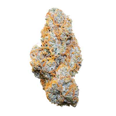 Apple Fritter Auto > Advanced Seeds | Autoflowering Cannabis   |  Hybrid