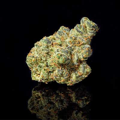 Apple Fritter > Linda Seeds | NUESTRAS RECOMENDACIONES DE SEMILLAS DE MARIHUANA  |  Semillas Baratas