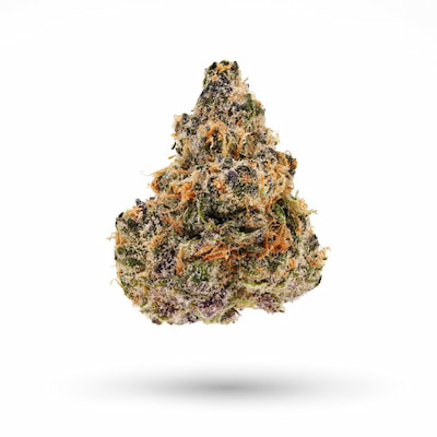 Apple Strudel Auto > Fast Buds Company | Graines Autofloraison  |  Hybride