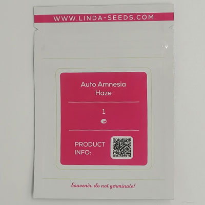 Auto Amnesia Haze > Linda Seeds | Hanfsamen Empfehlungen  |  Günstige Hanfsamen