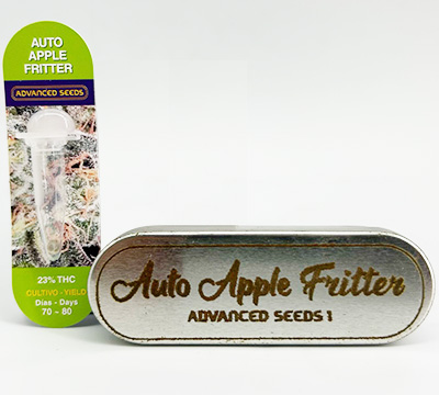 Apple Fritter Auto > Advanced Seeds | Autoflowering Cannabis   |  Hybrid