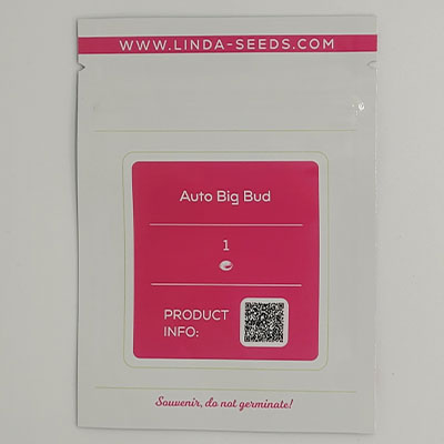 Auto Big Bud > Linda Seeds | Hanfsamen Empfehlungen  |  Günstige Hanfsamen