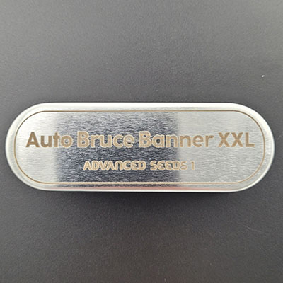 Auto Bruce Banner XXL > Advanced Seeds | Autoflowering Hanfsamen  |  Sativa