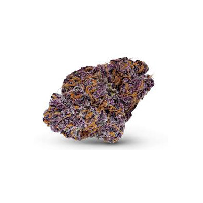 Auto Purple Haze > Linda Seeds | Autoflowering Hanfsamen  |  Sativa