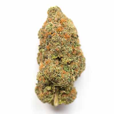 Auto Strawberry Banana > Anesia Seeds | Autoflowering Hanfsamen  |  Sativa