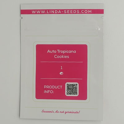 Auto Tropicana Cookies > Linda Seeds | Semillas autoflorecientes  |  Índica