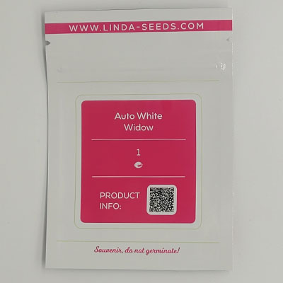 Auto White Widow > Linda Seeds | Hanfsamen Empfehlungen  |  Günstige Hanfsamen