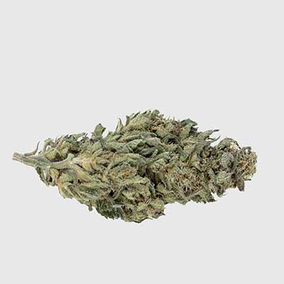 Auto White Widow XXL > Barney\'s Farm | Autoflowering Hanfsamen  |  Hybrid