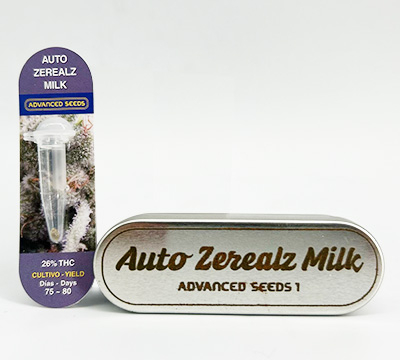 Auto Zerealz Milk > Advanced Seeds | Autoflowering Cannabis   |  Hybrid