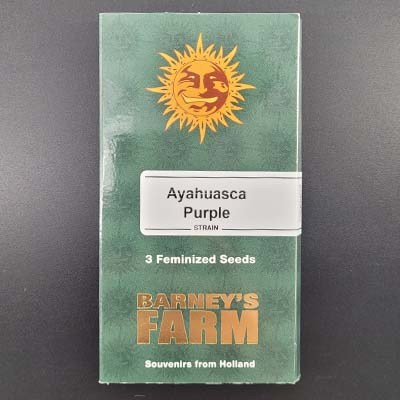 Ayahuasca Purple > Barneys Farm | Feminized Marijuana   |  Indica