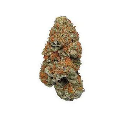 Big Bazooka > Anesia Seeds | Feminized Marijuana   |  Indica