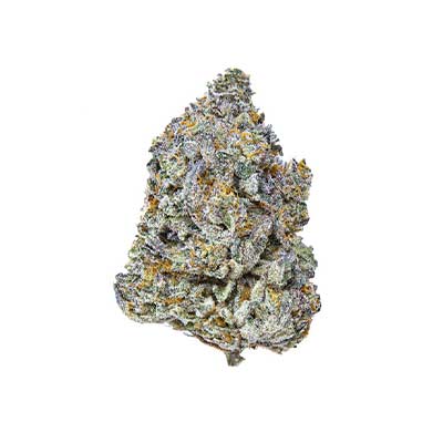 Birthday Punch > Elev8 Seeds | Feminized Marijuana   |  Indica