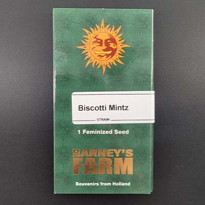 Biscotti Mintz > Barneys Farm | Feminized Marijuana   |  Indica