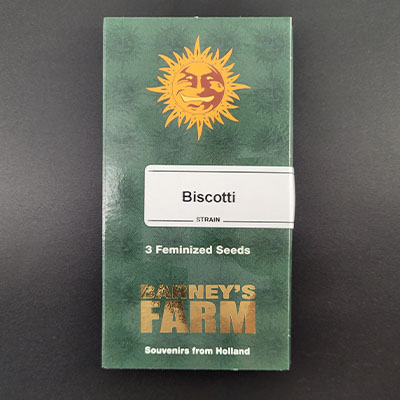 Biscotti > Barneys Farm | Feminisierte Hanfsamen  |  Indica