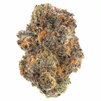 Biscotti Zkittlez > 00 seeds | Feminized Marijuana   |  Indica